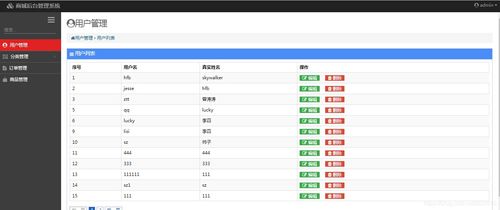 計算機軟件畢業設計項目源碼大全與淄博軟件定制服務指南